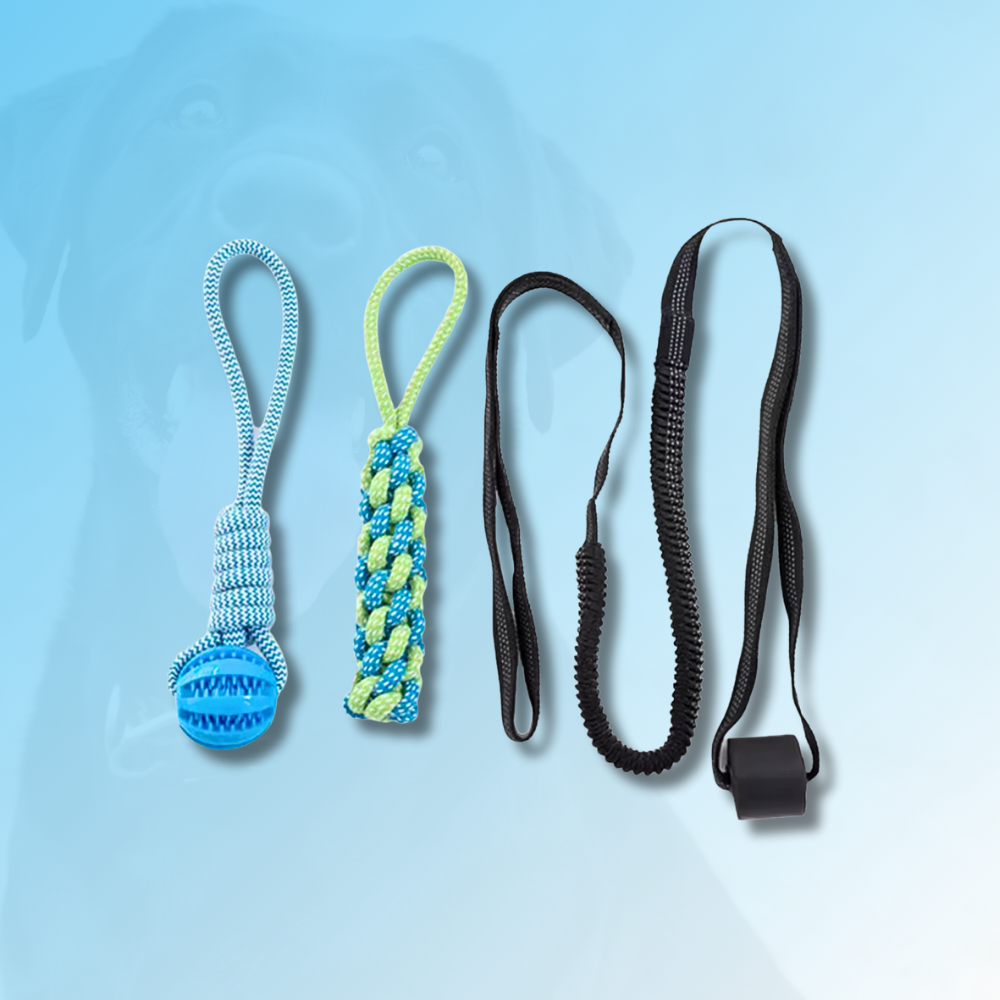 CALM-TUG™ - Kontrolliertes Zerrspiel für Fokus & innere Ruhe