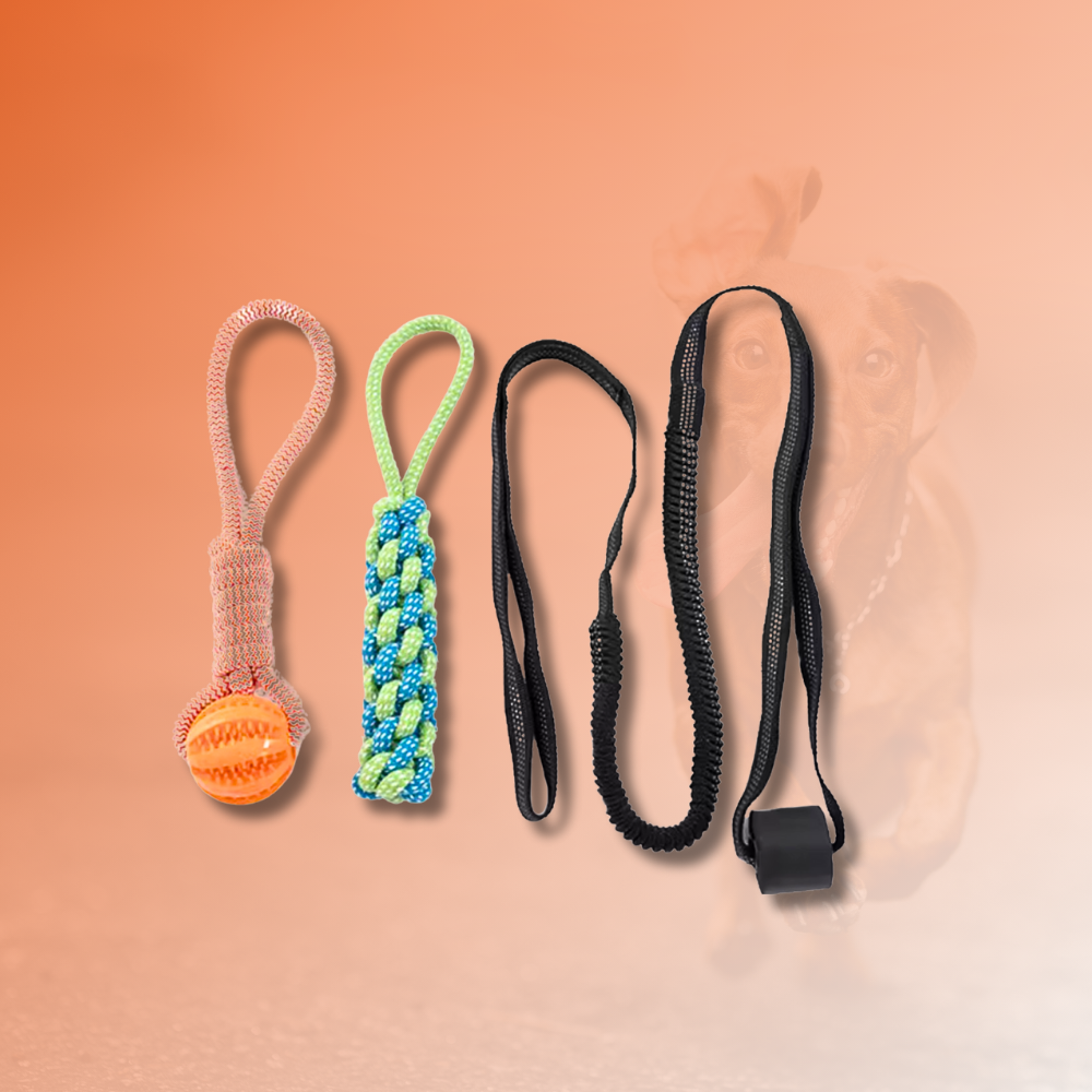 CALM-TUG™ - Kontrolliertes Zerrspiel für Fokus & innere Ruhe