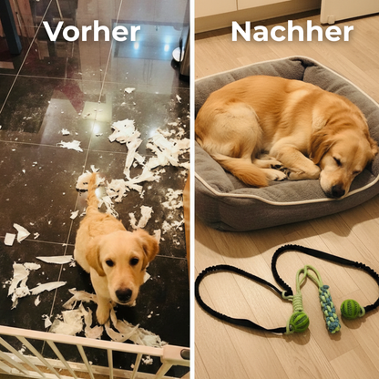 CALM-TUG™ - Kontrolliertes Zerrspiel für Fokus & innere Ruhe