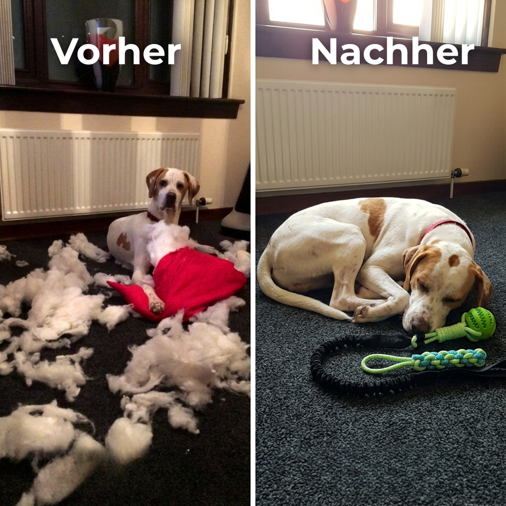 CALM-TUG™ - Kontrolliertes Zerrspiel für Fokus & innere Ruhe