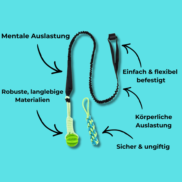 Fröhliches Hunde-Zugspielzeug
