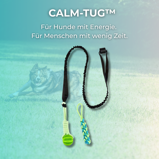 CALM-TUG™ - Interaktives Zerrspiel für aktive Hunde