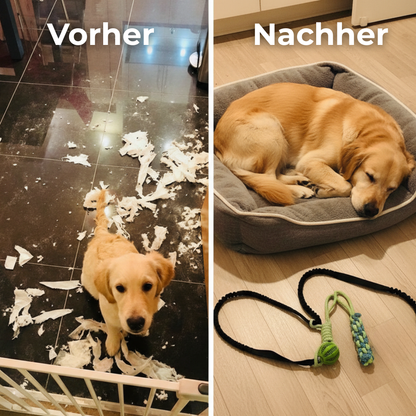 CALM-TUG™ - Kontrolliertes Zerrspiel für Fokus & innere Ruhe