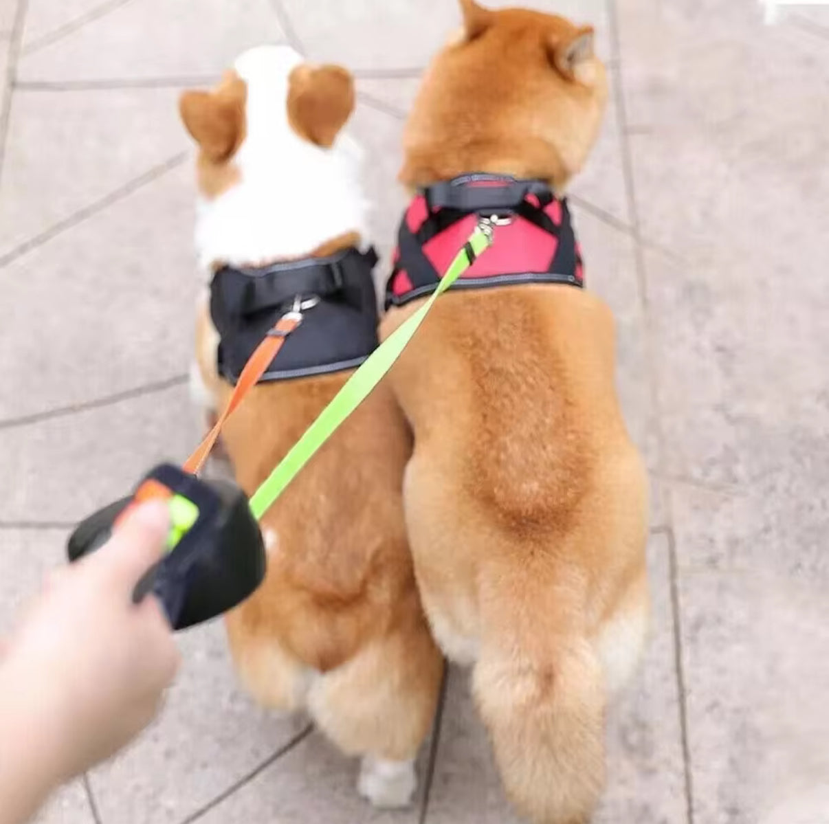 PawGlide Pro 360™ – Die innovative Doppel-Leine für stressfreie Spaziergänge