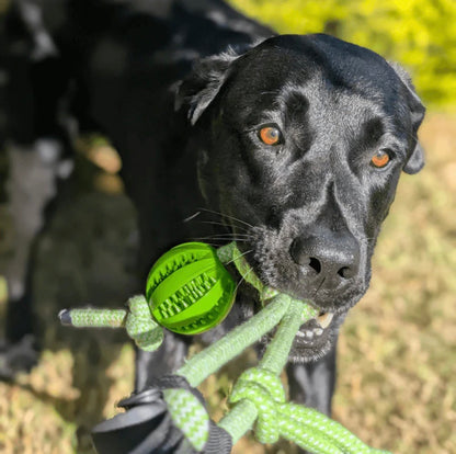 CALM-TUG™ - Kontrolliertes Zerrspiel für Fokus & innere Ruhe