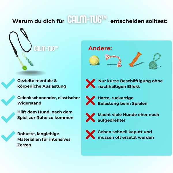 Fröhliches Hunde-Zugspielzeug