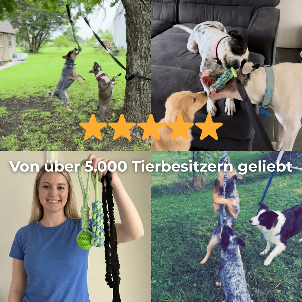 CALM-TUG™ - Kontrolliertes Zerrspiel für Fokus & innere Ruhe