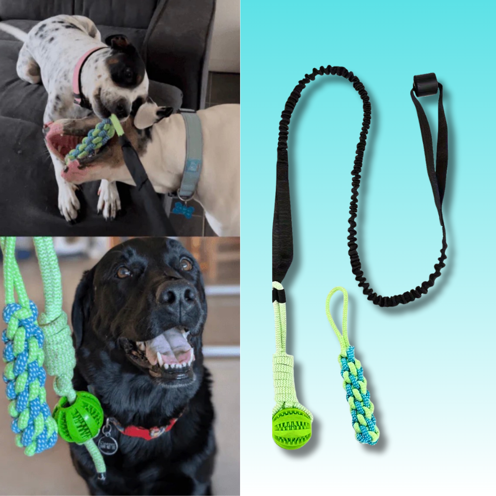 CALM-TUG™ - Kontrolliertes Zerrspiel für Fokus & innere Ruhe