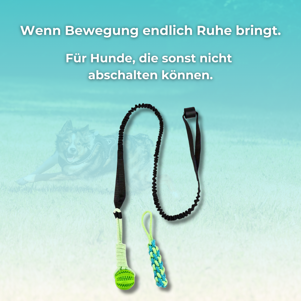 CALM-TUG™ - Kontrolliertes Zerrspiel für Fokus & innere Ruhe