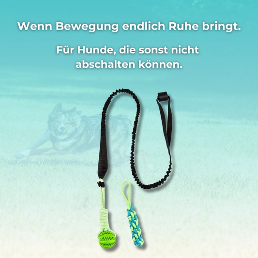 CALM-TUG™ - Kontrolliertes Zerrspiel für Fokus & innere Ruhe