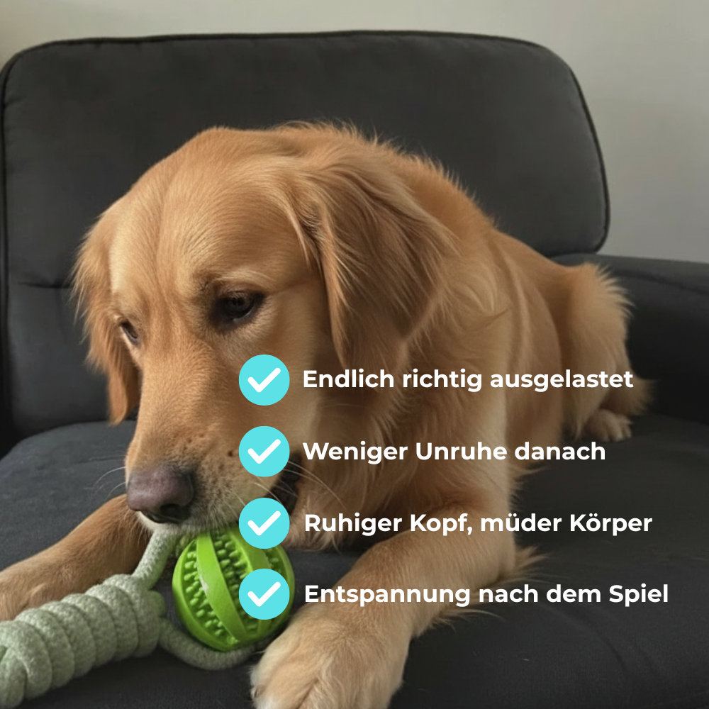 CALM-TUG™ - Kontrolliertes Zerrspiel für Fokus & innere Ruhe