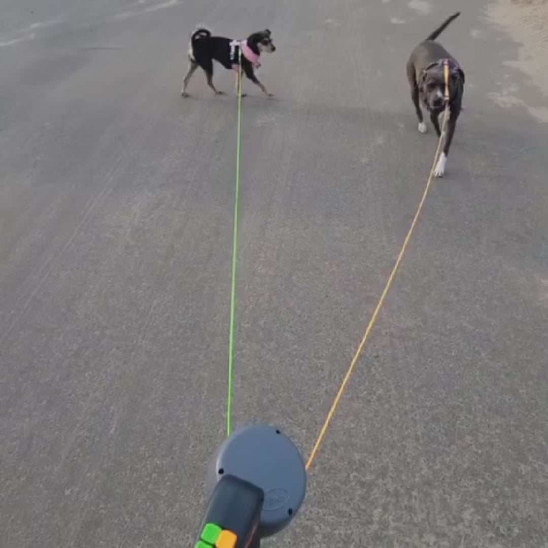Video laden: 